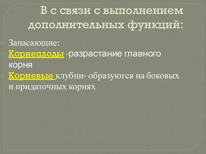 В с связи с выполнением дополнительных функций: Запасающие: Корнеплоды -разрастание главного