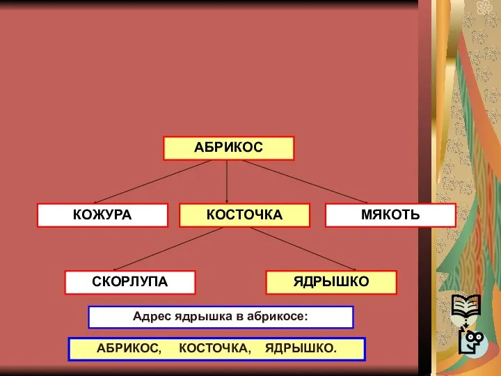 АБРИКОС КОЖУРА КОСТОЧКА МЯКОТЬ СКОРЛУПА ЯДРЫШКО Адрес ядрышка в абрикосе: АБРИКОС, КОСТОЧКА, ЯДРЫШКО.