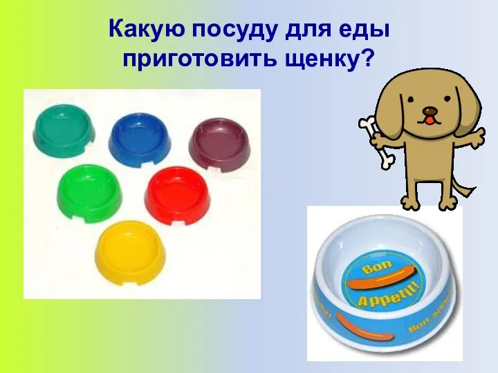 Какую посуду для еды приготовить щенку?