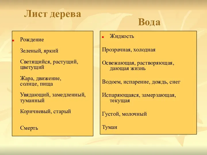 Лист дерева Рождение Зеленый, яркий Светящийся, растущий, цветущий Жара, движение, солнце,