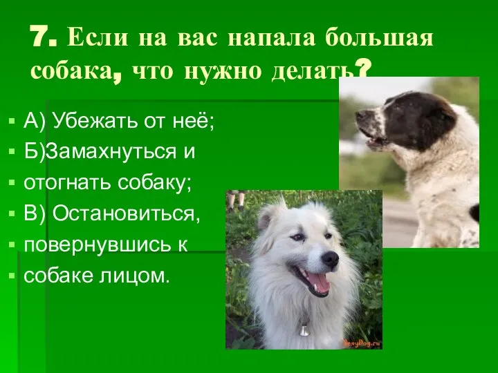 7. Если на вас напала большая собака, что нужно делать? А)