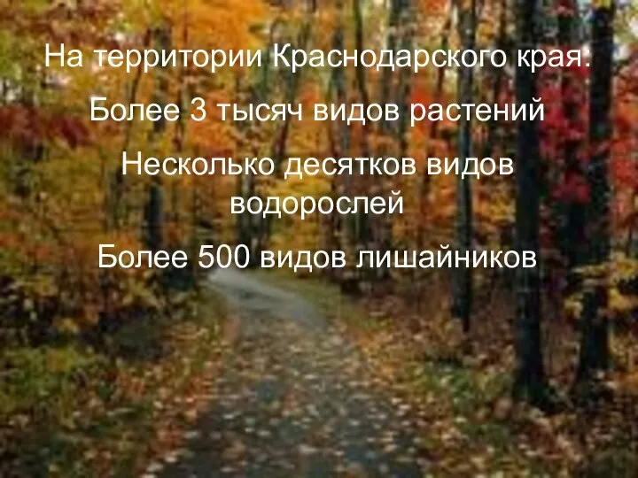 На территории Краснодарского края: Более 3 тысяч видов растений Несколько десятков