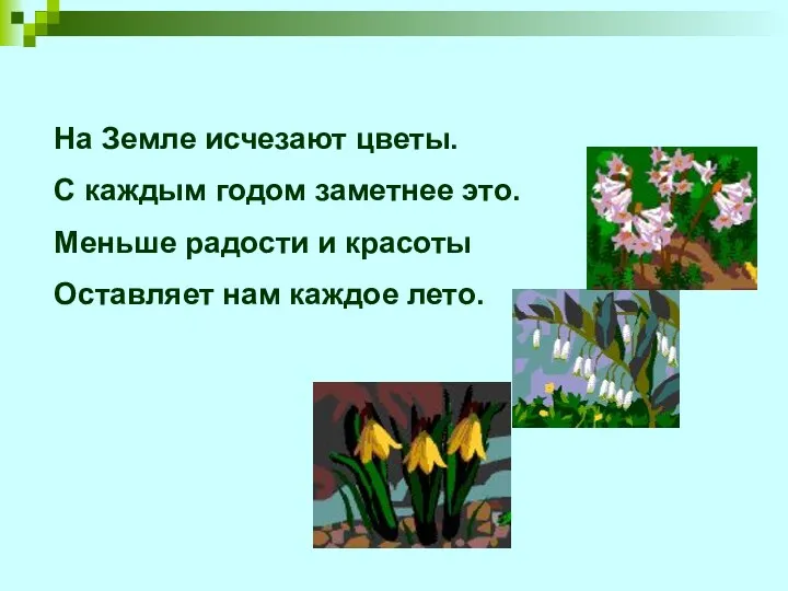 На Земле исчезают цветы. С каждым годом заметнее это. Меньше радости