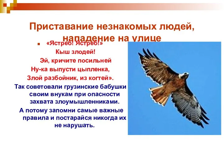 Приставание незнакомых людей, нападение на улице «Ястреб! Ястреб!» Кыш злодей! Эй,