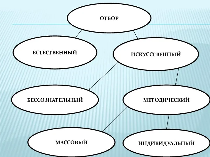 ОТБОР МАССОВЫЙ МЕТОДИЧЕСКИЙ БЕССОЗНАТЕЛЬНЫЙ ИНДИВИДУАЛЬНЫЙ ИСКУССТВЕННЫЙ ЕСТЕСТВЕННЫЙ