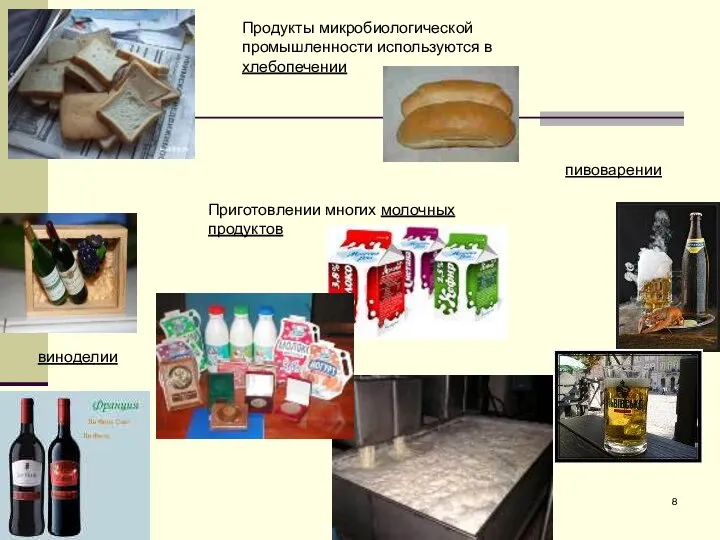 Продукты микробиологической промышленности используются в хлебопечении пивоварении виноделии Приготовлении многих молочных продуктов