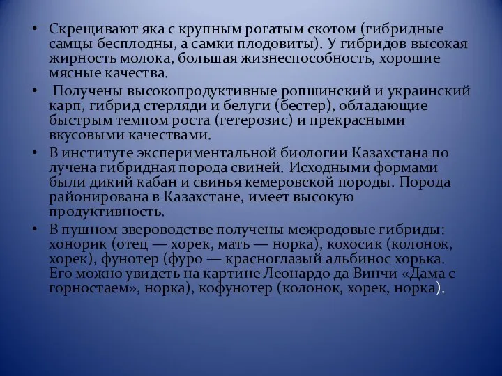 Скрещивают яка с крупным рогатым скотом (гибридные самцы бесплодны, а самки