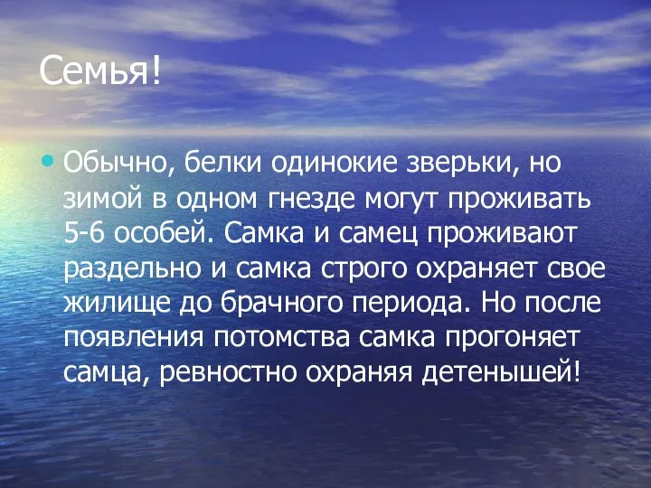 Семья! Обычно, белки одинокие зверьки, но зимой в одном гнезде могут