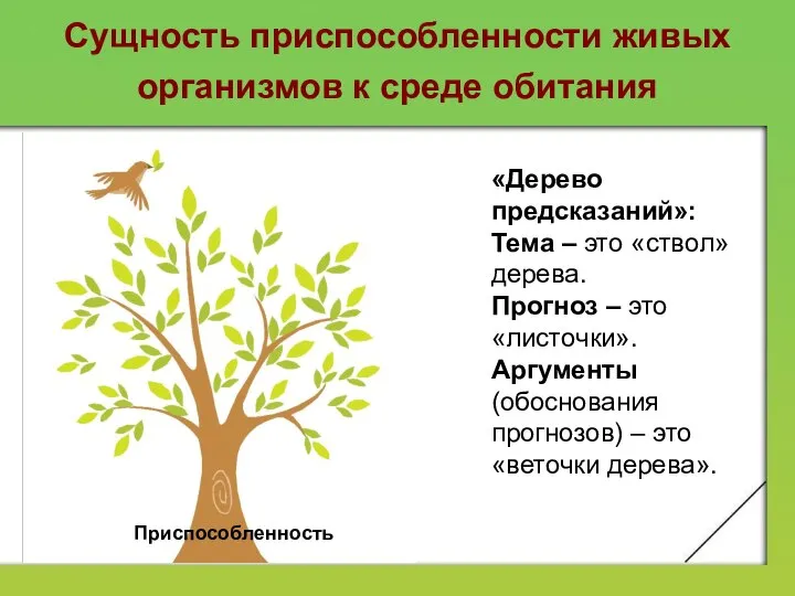 Сущность приспособленности живых организмов к среде обитания Приспособленность «Дерево предсказаний»: Тема