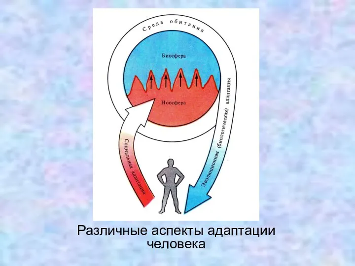 Различные аспекты адаптации человека