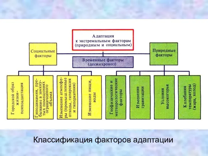 Классификация факторов адаптации