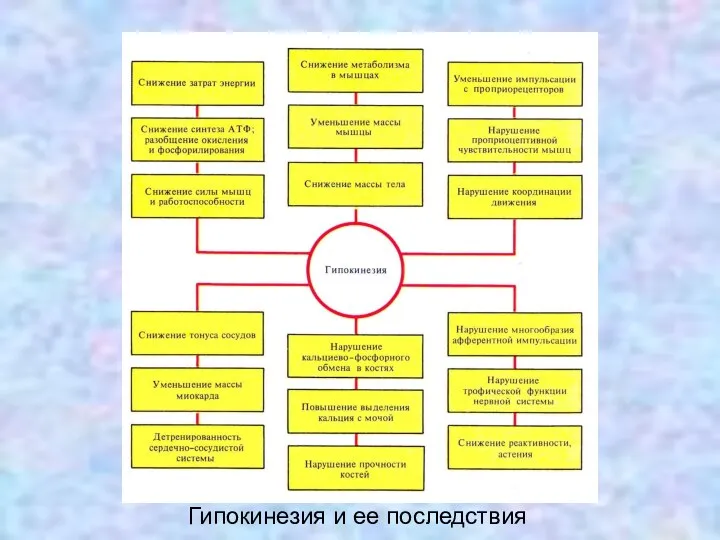 Гипокинезия и ее последствия