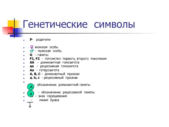 Генетические символы Р- родители ♀ женская особь ♂ - мужская особь