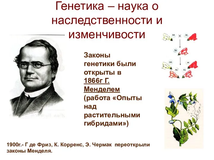 Генетика – наука о наследственности и изменчивости Законы генетики были открыты