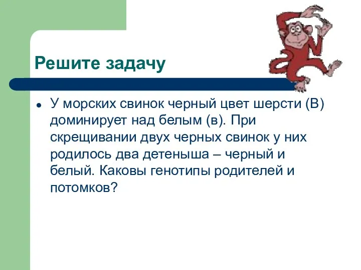 Решите задачу У морских свинок черный цвет шерсти (В) доминирует над