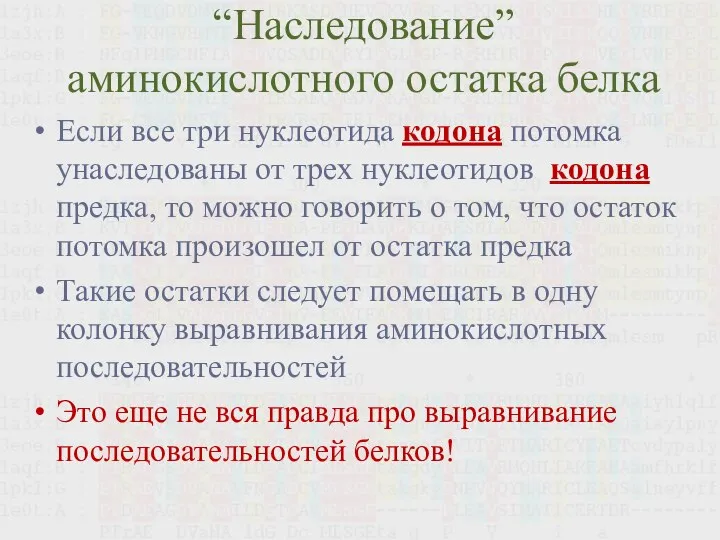 “Наследование” аминокислотного остатка белка Если все три нуклеотида кодона потомка унаследованы