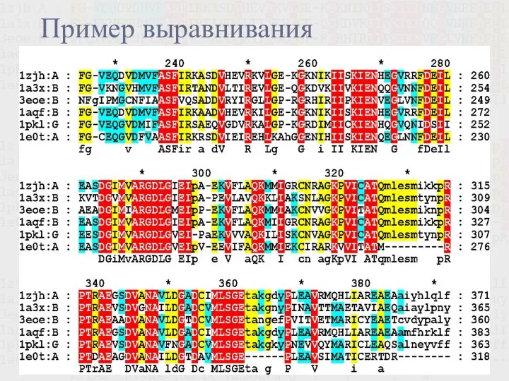 Пример выравнивания