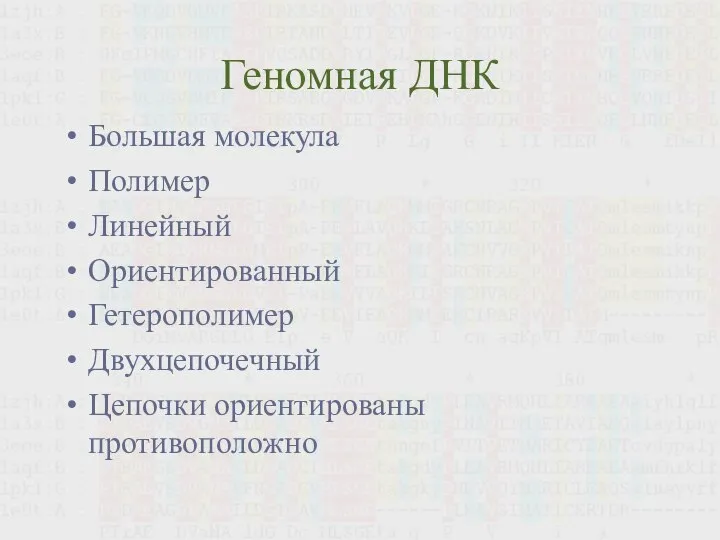 Геномная ДНК Большая молекула Полимер Линейный Ориентированный Гетерополимер Двухцепочечный Цепочки ориентированы противоположно