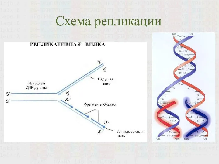 Схема репликации