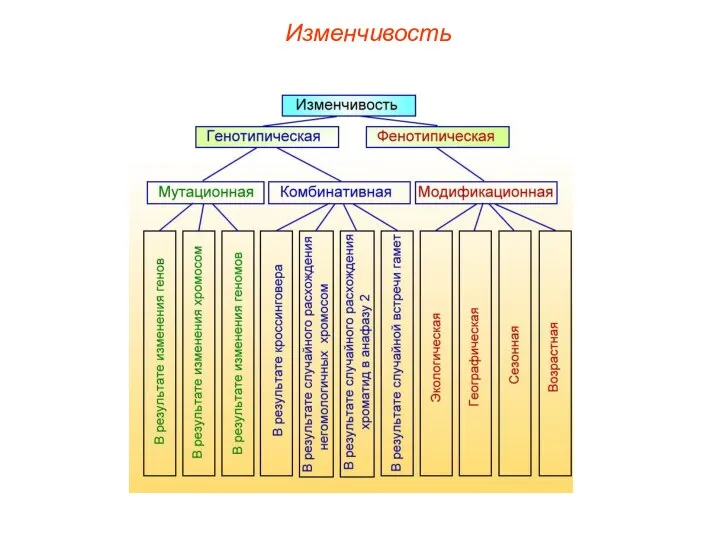 Изменчивость