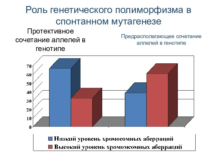 Протективное сочетание аллелей в генотипе Предрасполагающее сочетание аллелей в генотипе Роль генетического полиморфизма в спонтанном мутагенезе