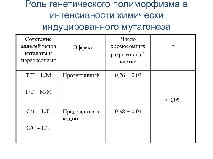 Роль генетического полиморфизма в интенсивности химически индуцированного мутагенеза