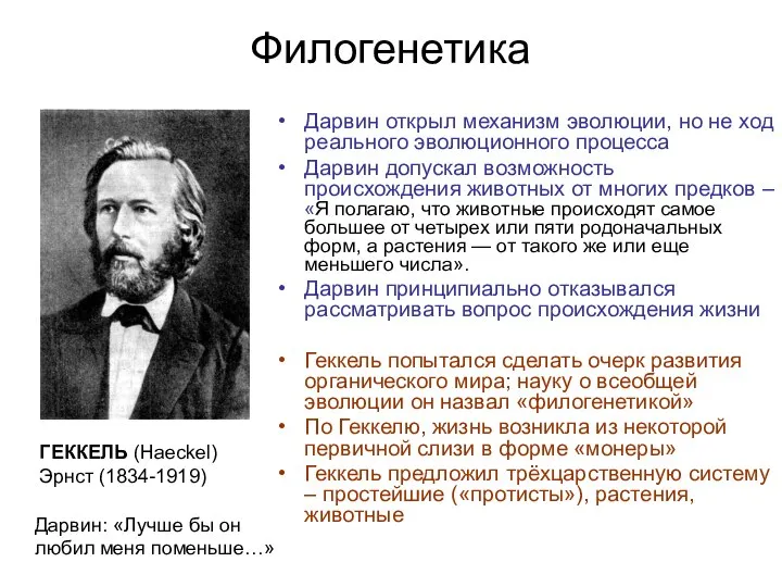 Филогенетика Дарвин открыл механизм эволюции, но не ход реального эволюционного процесса