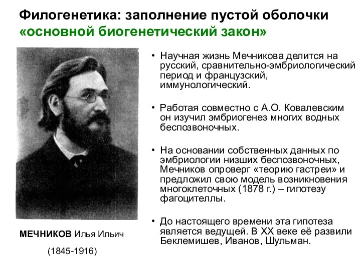 Научная жизнь Мечникова делится на русский, сравнительно-эмбриологический период и французский, иммунологический.