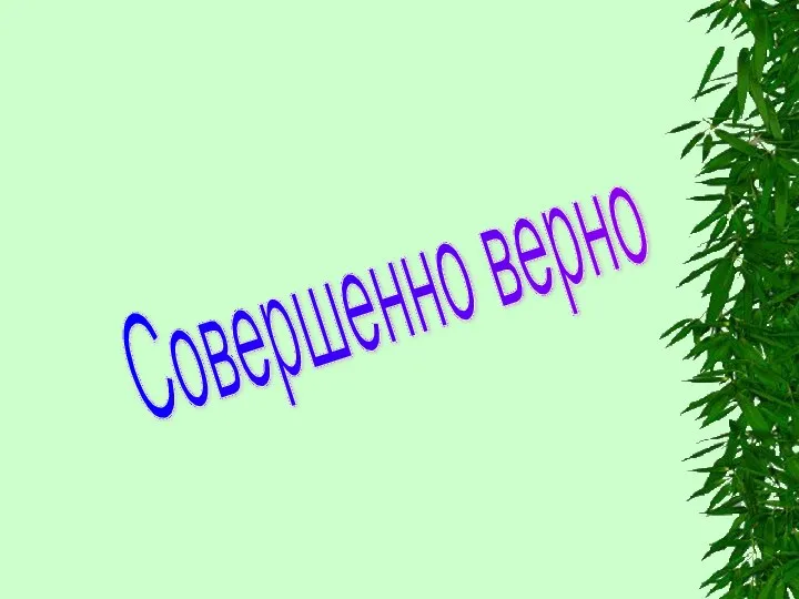 Совершенно верно