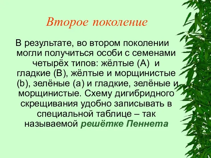 Второе поколение В результате, во втором поколении могли получиться особи с