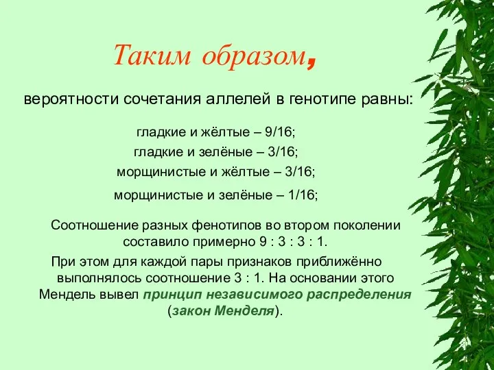 Таким образом, вероятности сочетания аллелей в генотипе равны: гладкие и жёлтые