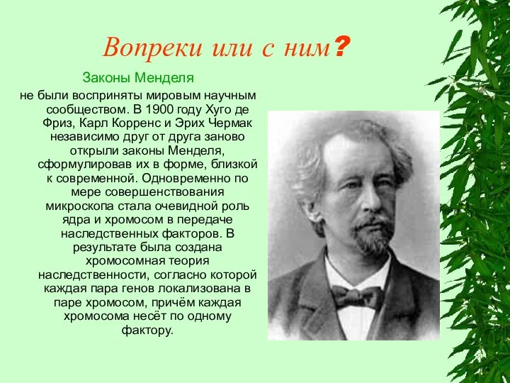 Вопреки или с ним? Законы Менделя не были восприняты мировым научным