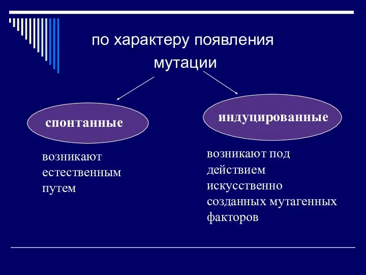 по характеру появления мутации возникают естественным путем возникают под действием искусственно созданных мутагенных факторов спонтанные индуцированные