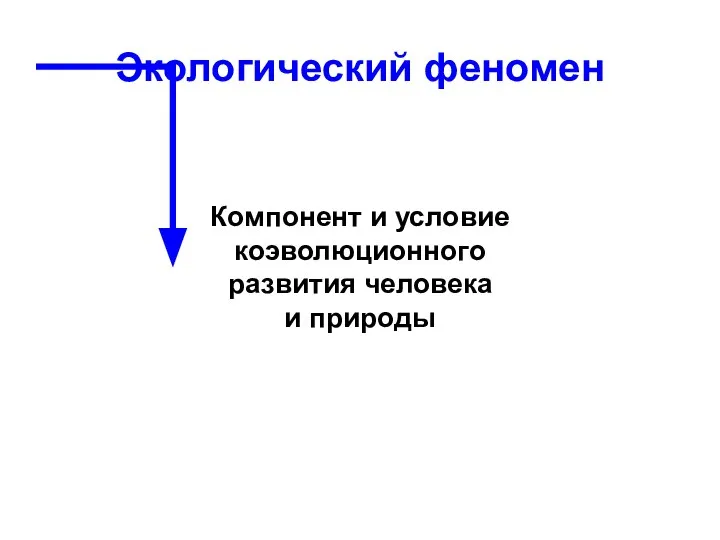 Компонент и условие коэволюционного развития человека и природы Экологический феномен