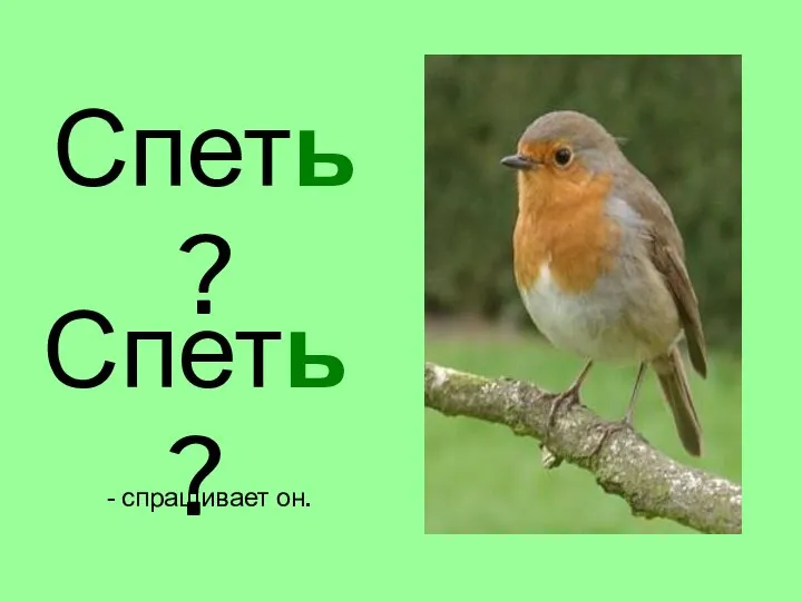 Спеть? Спеть? - спрашивает он.