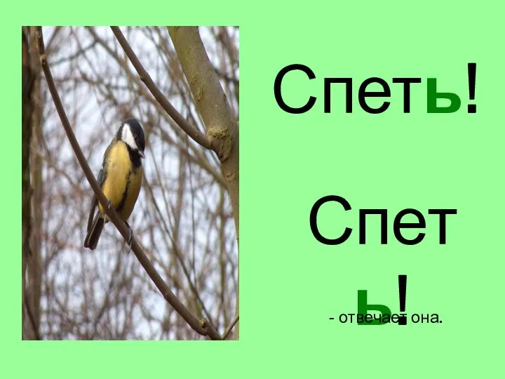 Спеть! Спеть! - отвечает она.