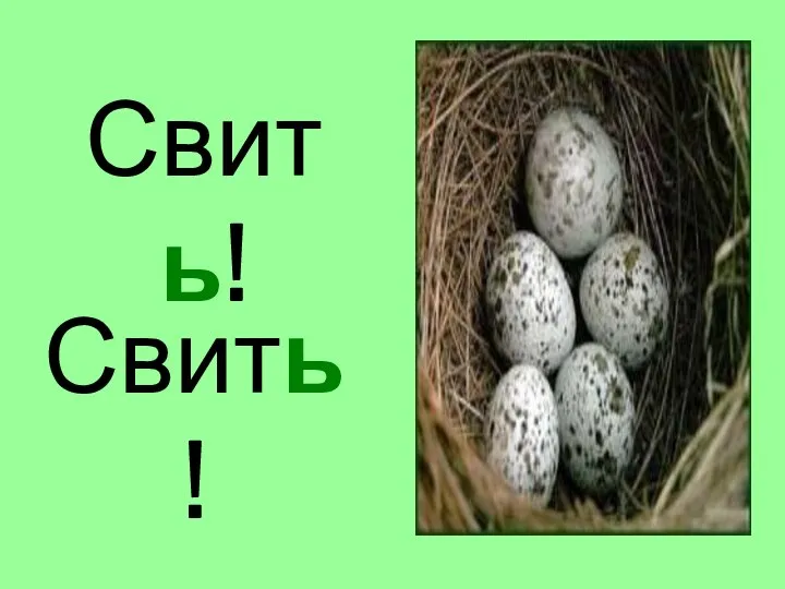 Свить! Свить!