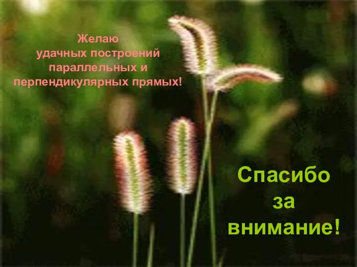 Спасибо за внимание! Желаю удачных построений параллельных и перпендикулярных прямых!