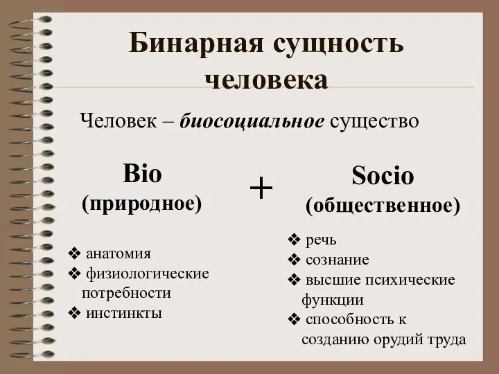 Бинарная сущность человека Bio (природное) Socio (общественное) речь сознание высшие психические