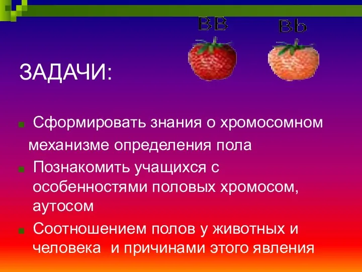 ЗАДАЧИ: Сформировать знания о хромосомном механизме определения пола Познакомить учащихся с