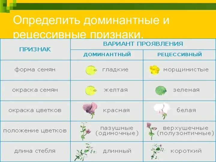 Определить доминантные и рецессивные признаки.