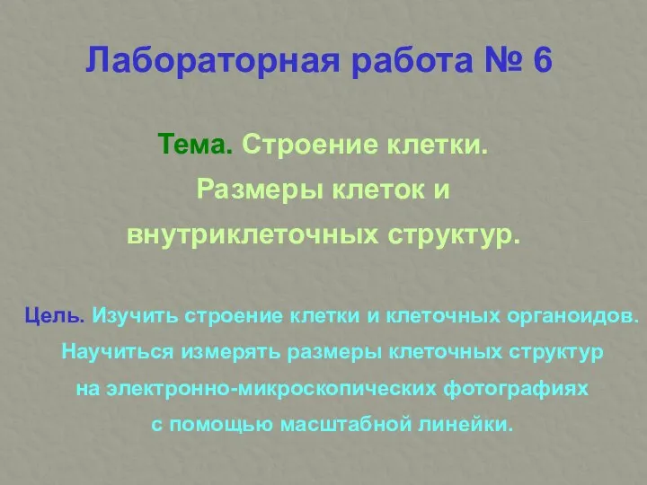 Тема. Строение клетки. Размеры клеток и внутриклеточных структур. Цель. Изучить строение