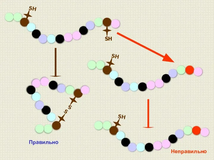 SH SH S S SH SH Правильно Неправильно