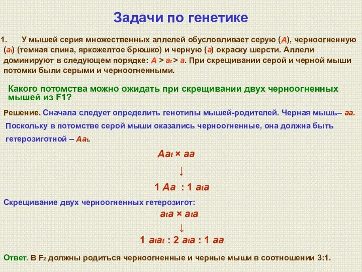 Задачи по генетике Решение. Сначала следует определить генотипы мышей-родителей. Черная мышь–