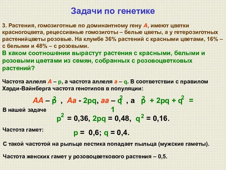 3. Растения, гомозиготные по доминантному гену А, имеют цветки красногоцвета, рецессивные