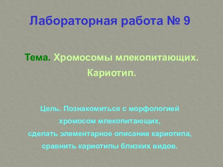 Тема. Хромосомы млекопитающих. Кариотип. Цель. Познакомиться с морфологией хромосом млекопитающих, сделать