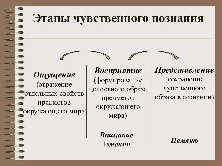 Этапы чувственного познания Ощущение (отражение отдельных свойств предметов окружающего мира) Восприятие