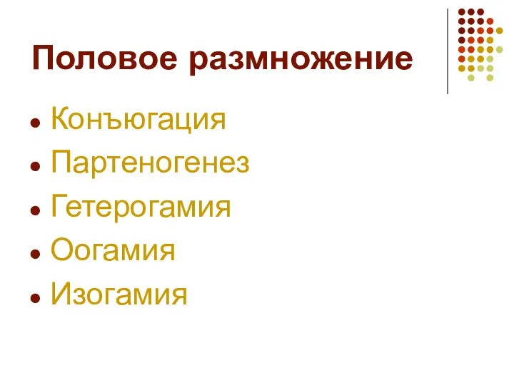 Половое размножение Конъюгация Партеногенез Гетерогамия Оогамия Изогамия