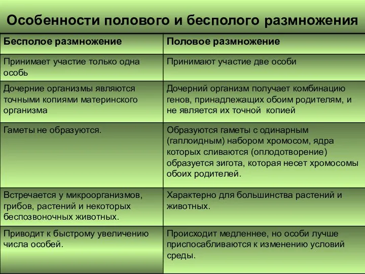 Особенности полового и бесполого размножения