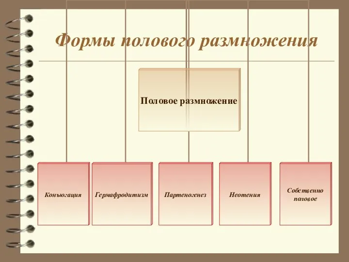 Формы полового размножения